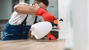 Best Pest Control for Multi-Family Homes  in Forest Park, IL